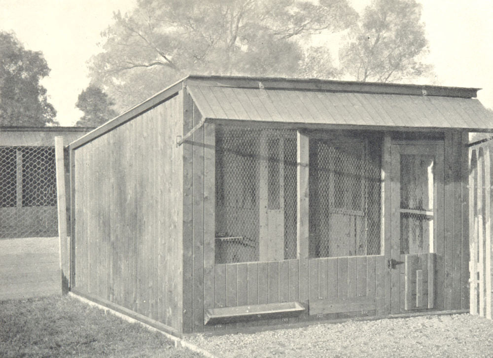 POULTRY FARMING. Poultry Houses; Open-Fronted Scratching Shed 1912 old print
